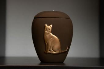 L'urna per gatti si trova su uno scaffale