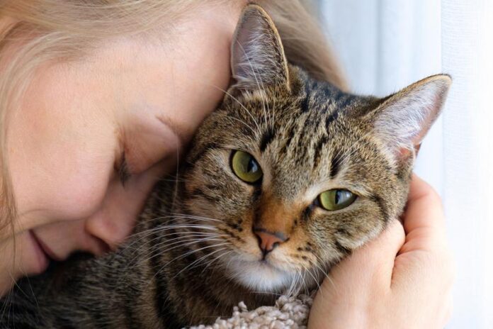 20 citazioni sincere sulla perdita del gatto per quando ti manca il tuo animale domestico
